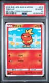 Torchic