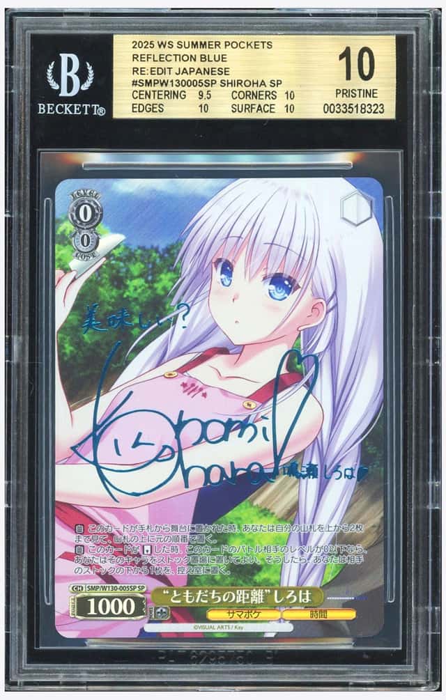 Shiroha Sp
