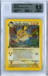 Dark Raichu Holo R