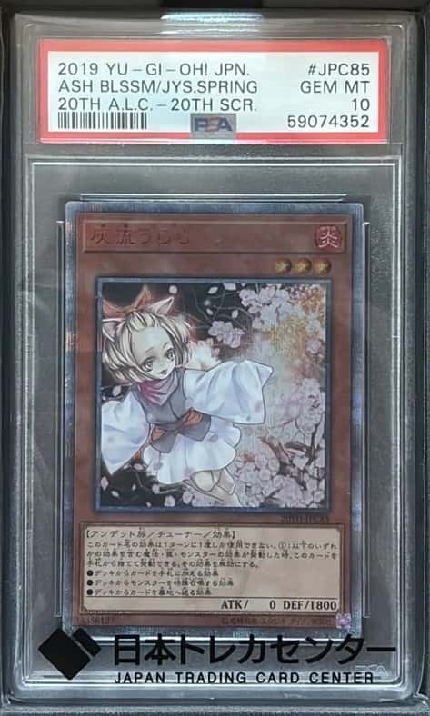 ASH BLSSM/JYS.SPRING