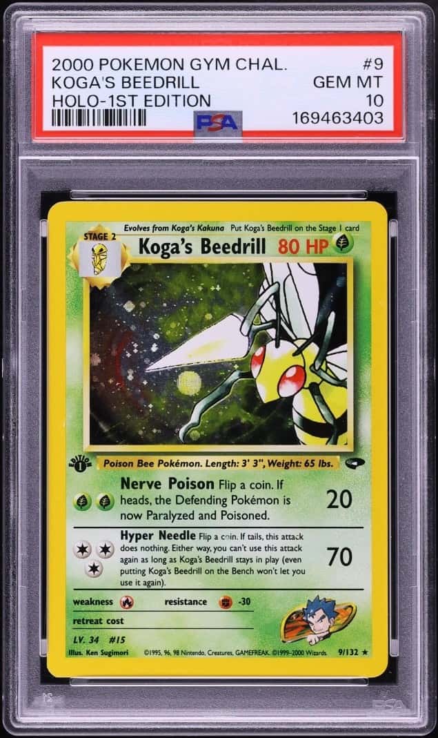 Koga's Beedrill
