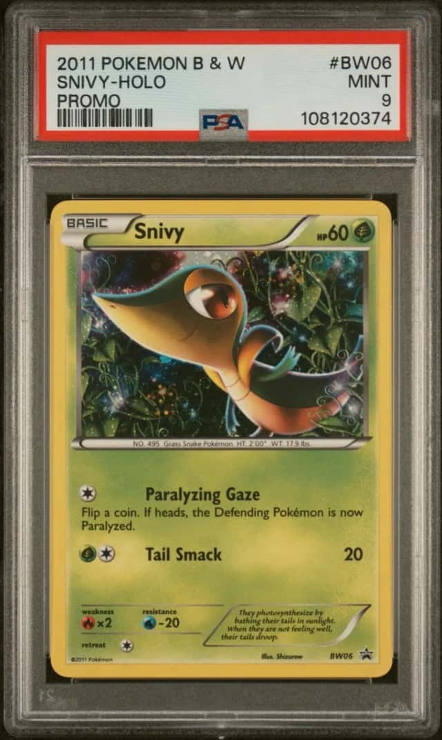Snivy