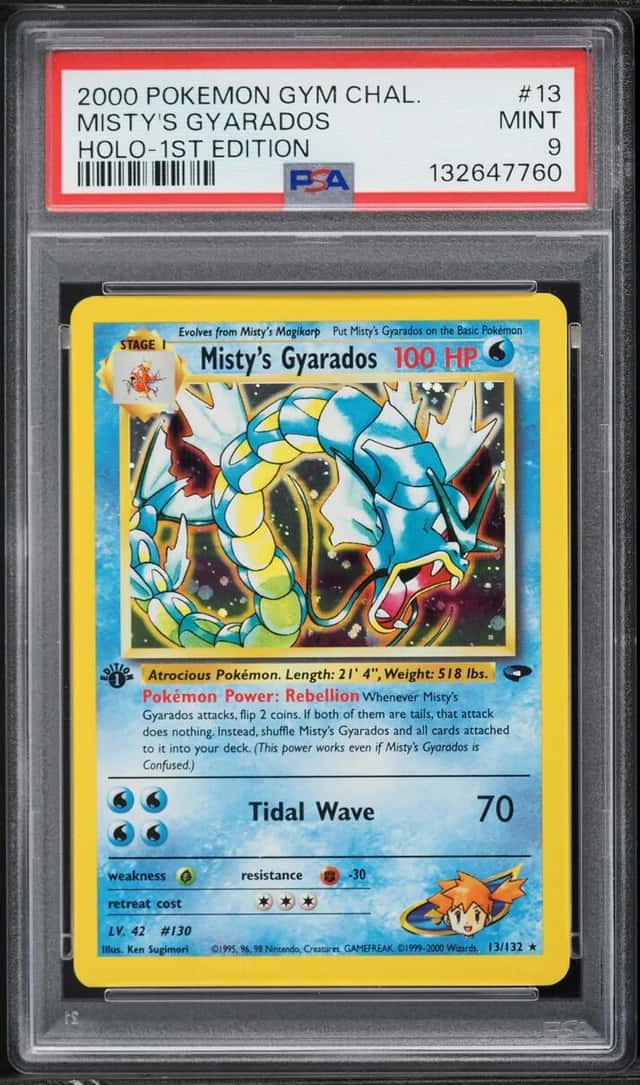 Misty's Gyarados