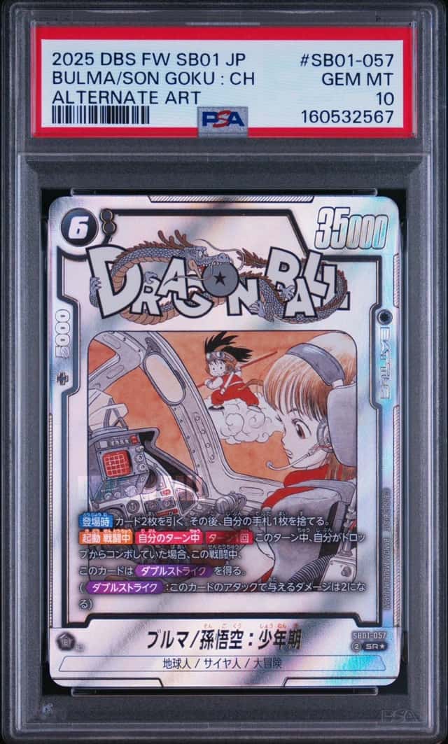 Bulma/Son Goku : Ch