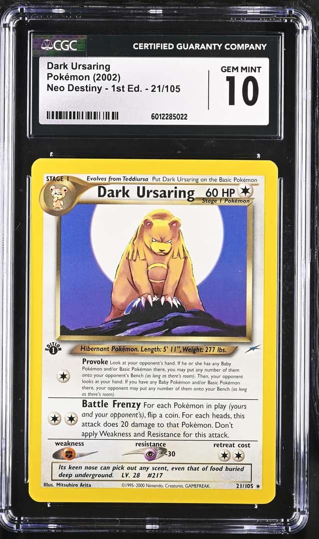 Dark Ursaring