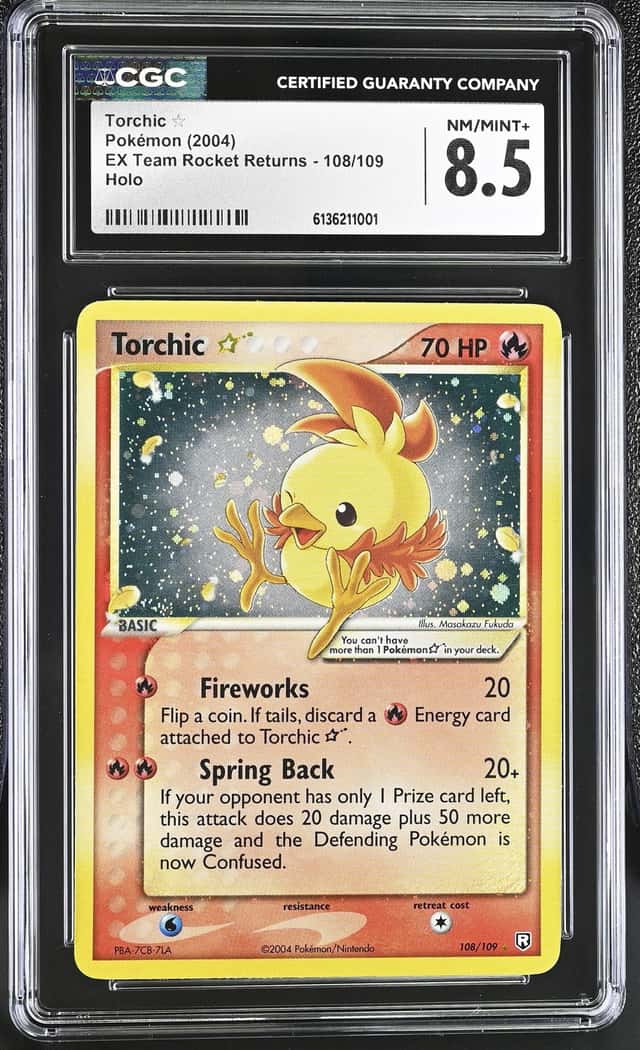 Torchic