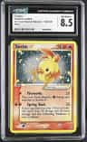 Torchic
