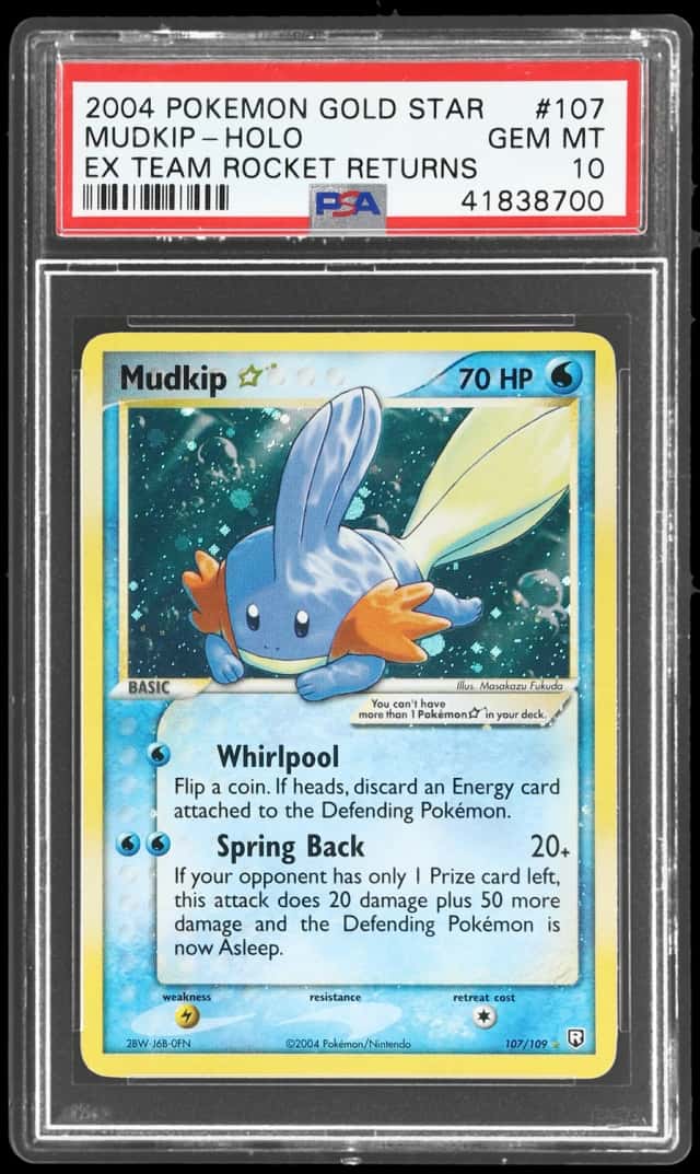 Mudkip