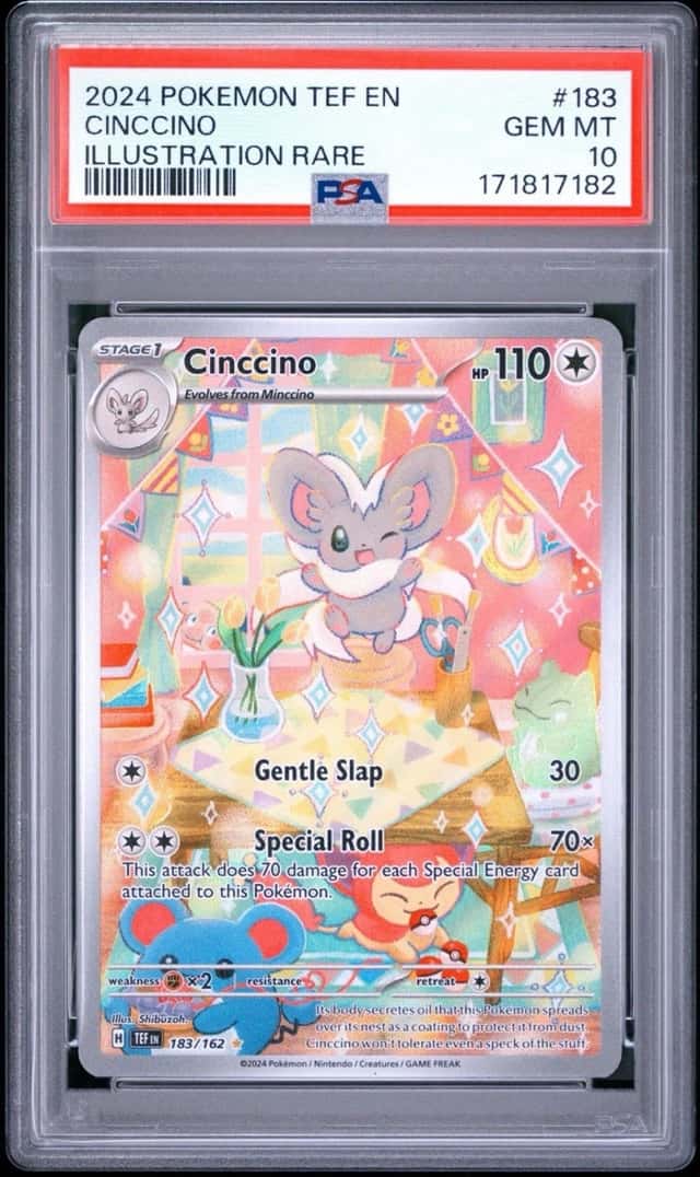 Cinccino