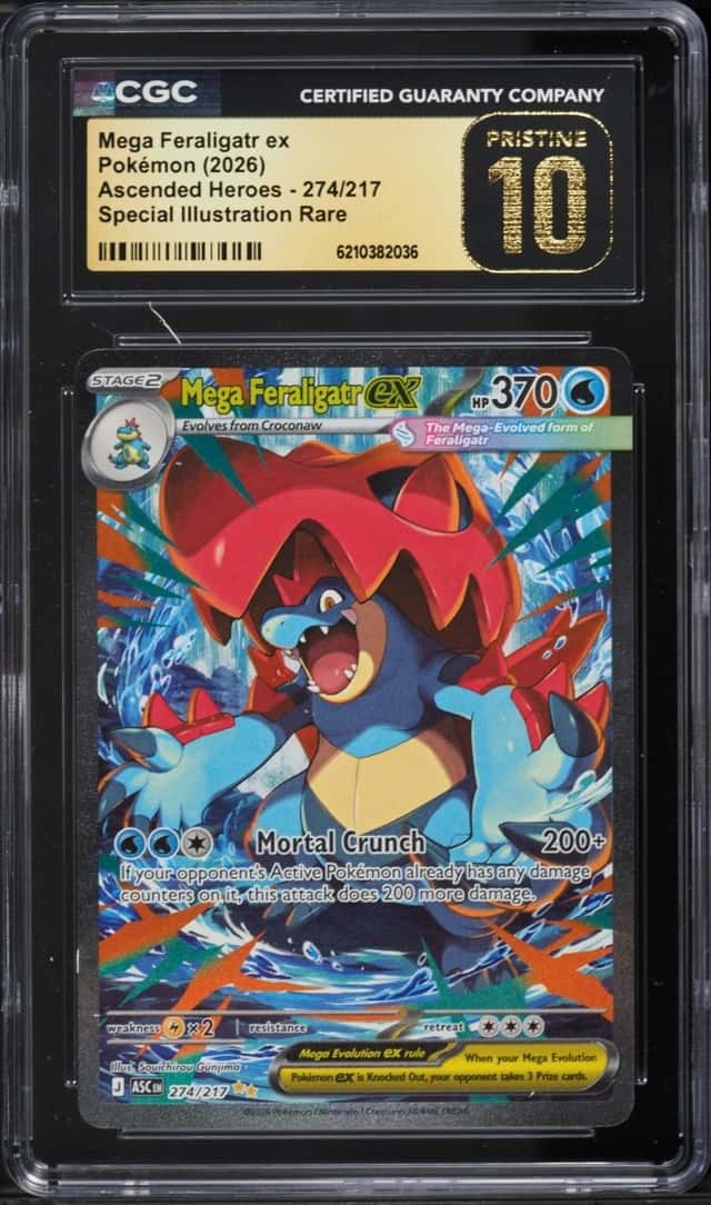MEGA FERALIGATR ex