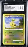 Turtwig