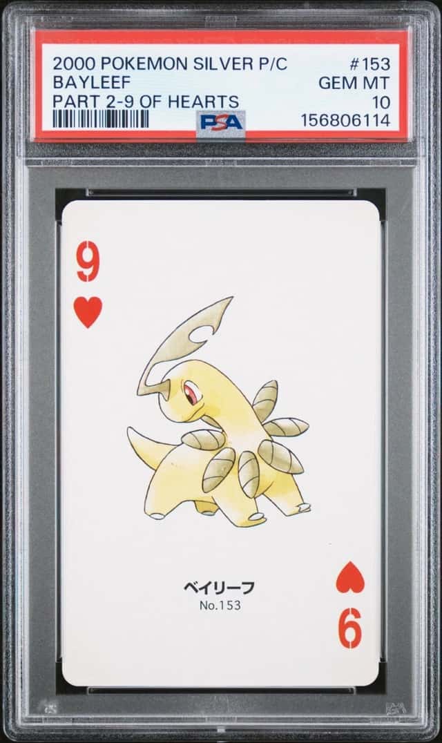 Bayleef