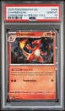 Charmeleon
