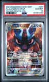 Lucario Vstar