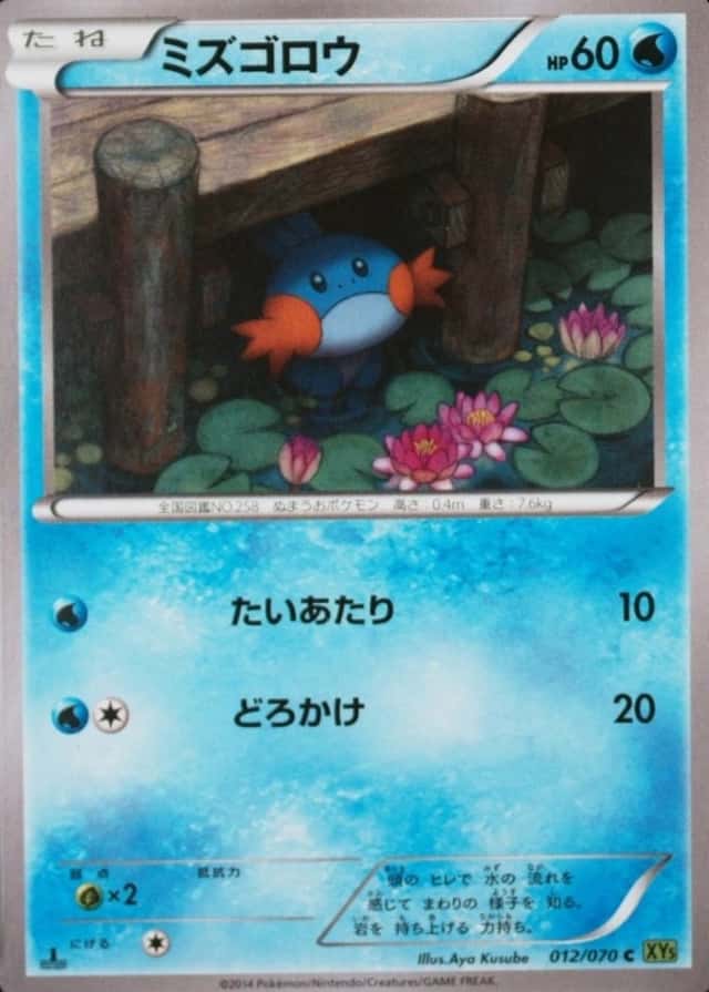 1st Edition