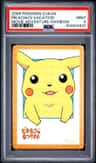 Pikachu'S Vacation