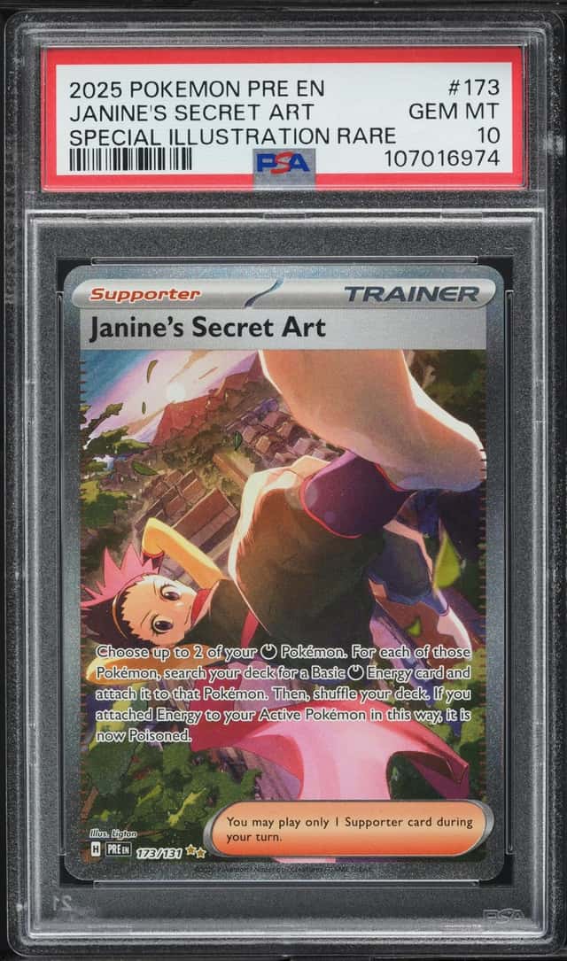 Janine's Secret Art
