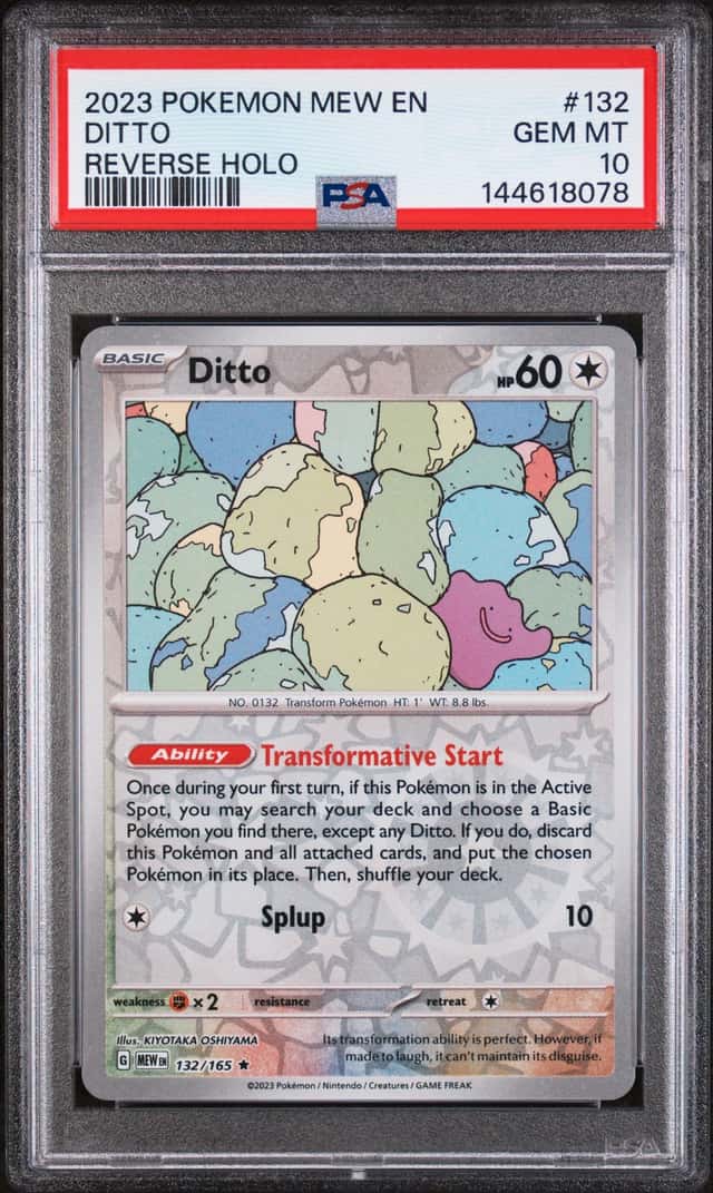 Ditto