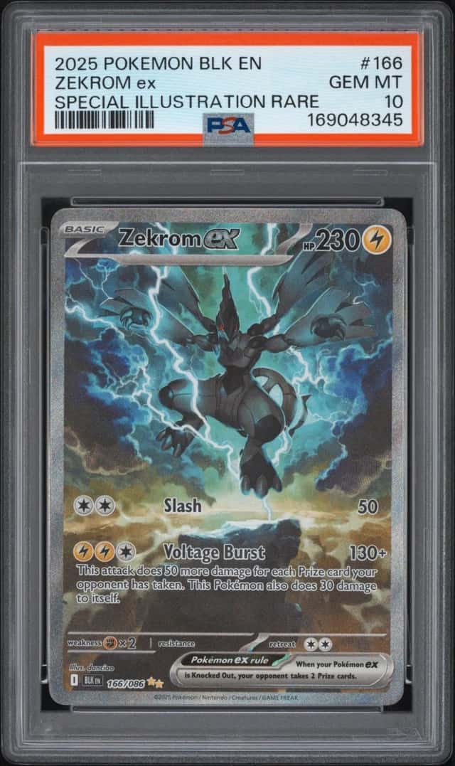 ZEKROM ex