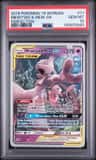 Mewtwo & Mew Gx