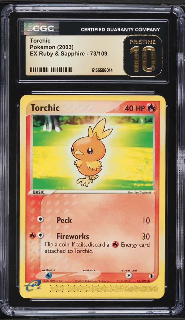 Torchic