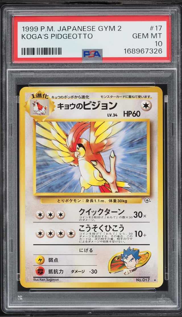 Koga's Pidgeotto