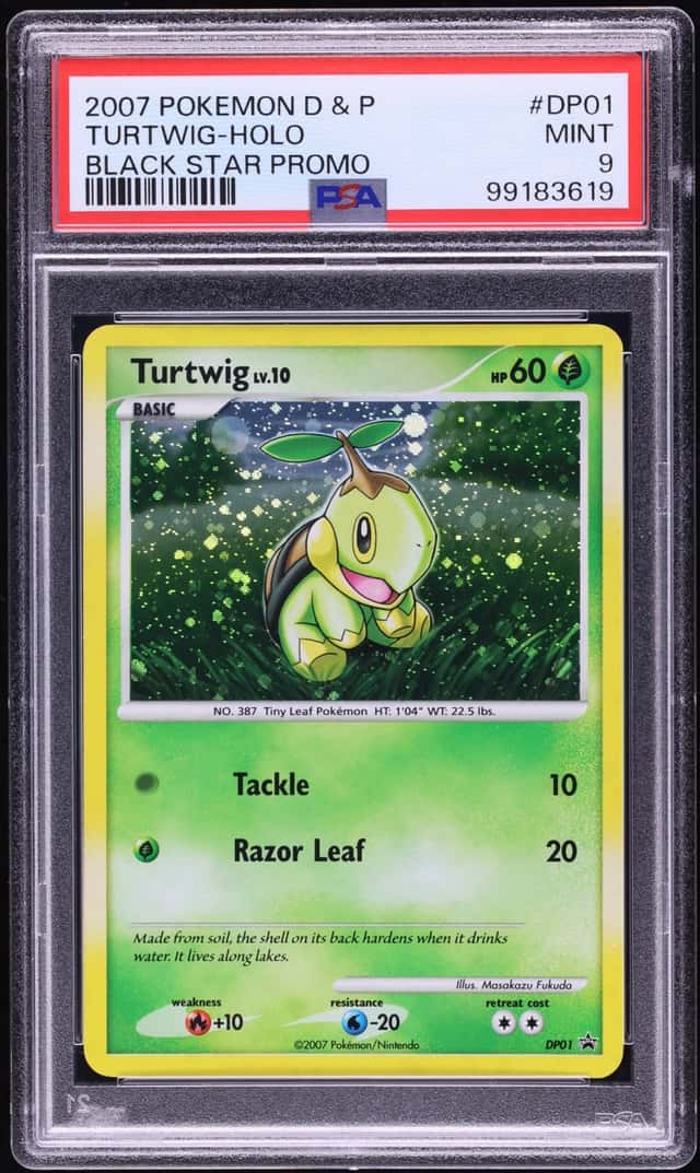 Turtwig