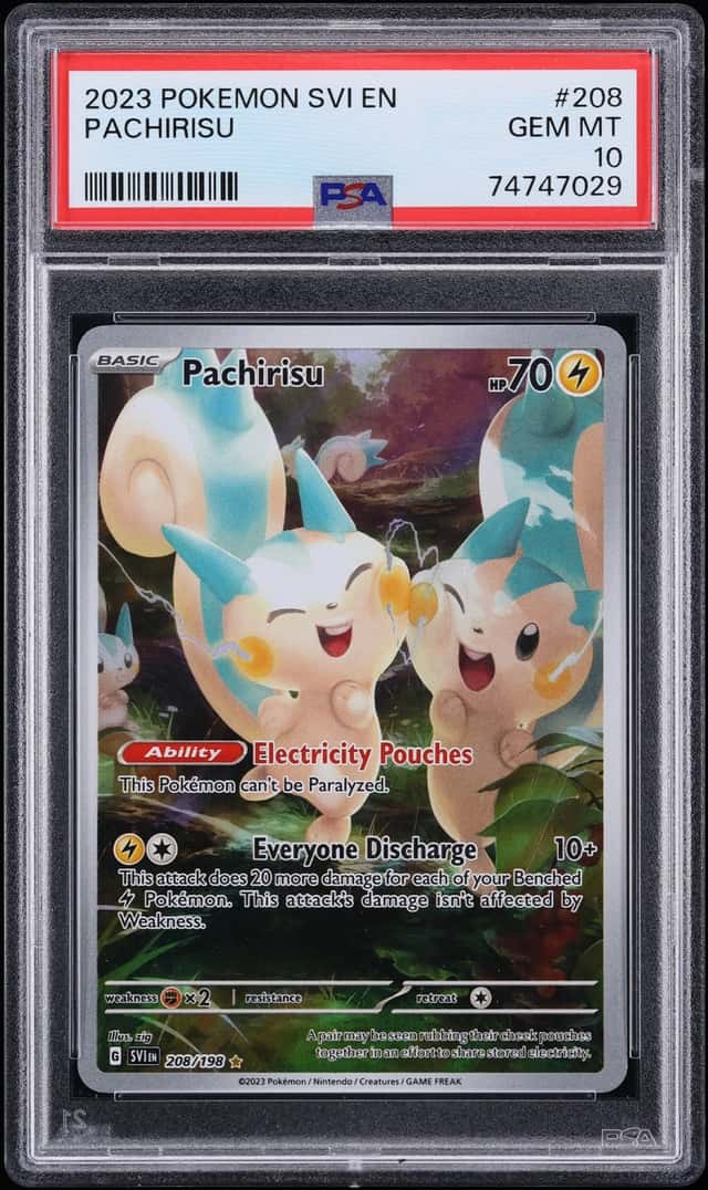 Pachirisu