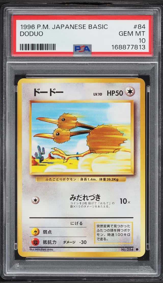 Doduo