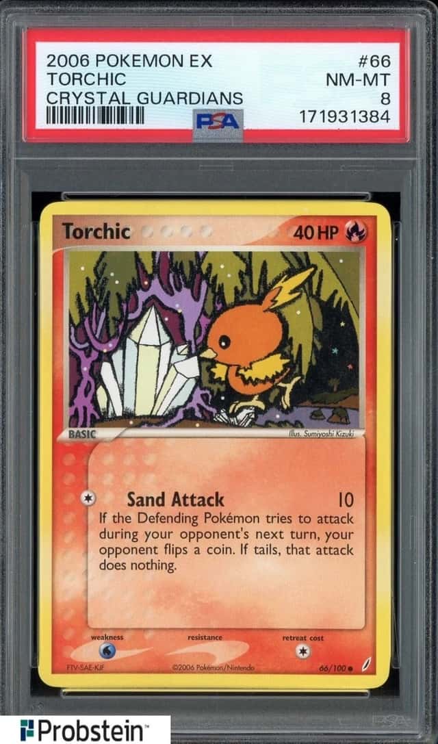 Torchic