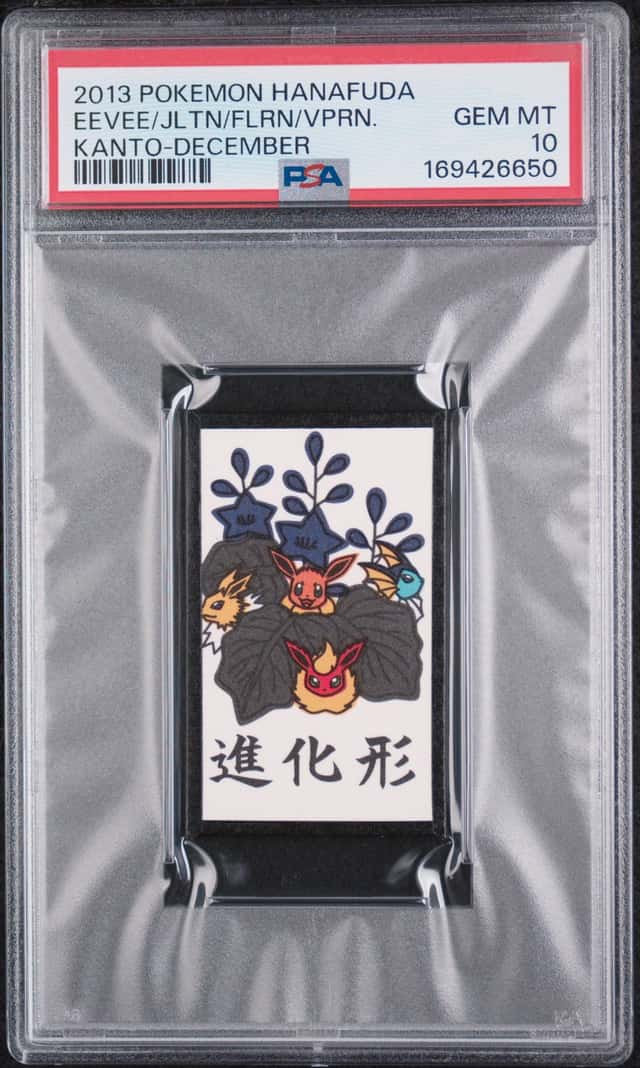EEVEE/JLTN/FLRN/VPRN.