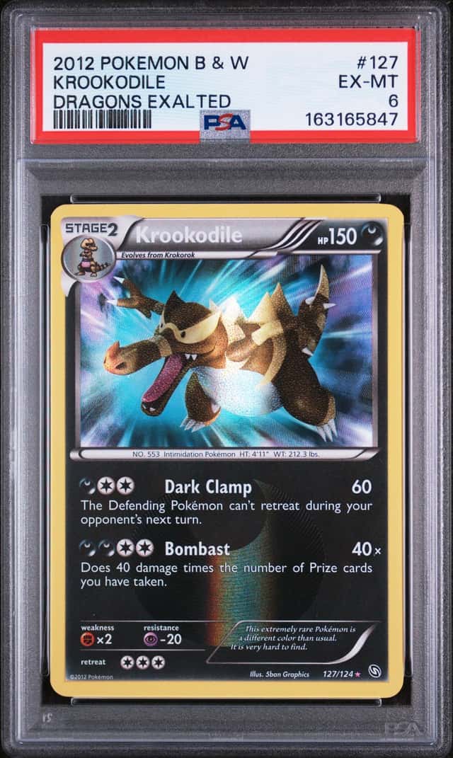 Krookodile