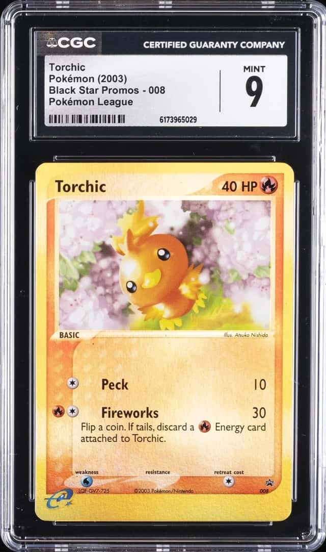 Torchic