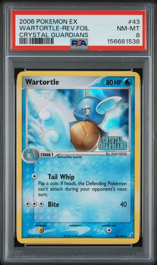 Wartortle