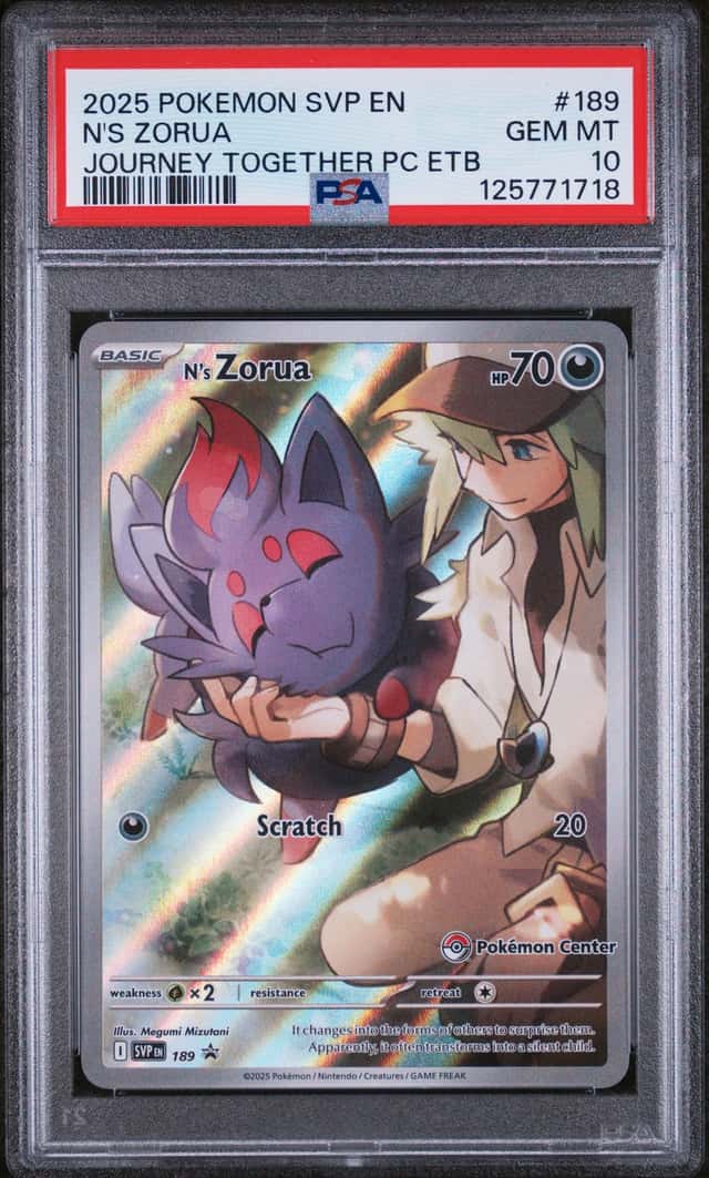 N's Zorua