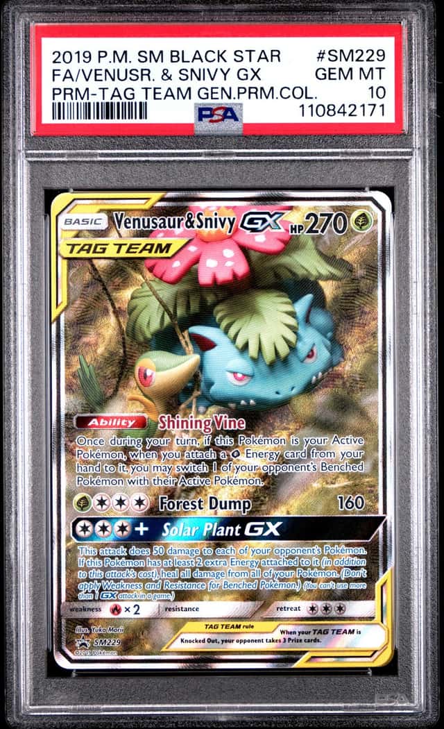 Venusaur & Snivy GX