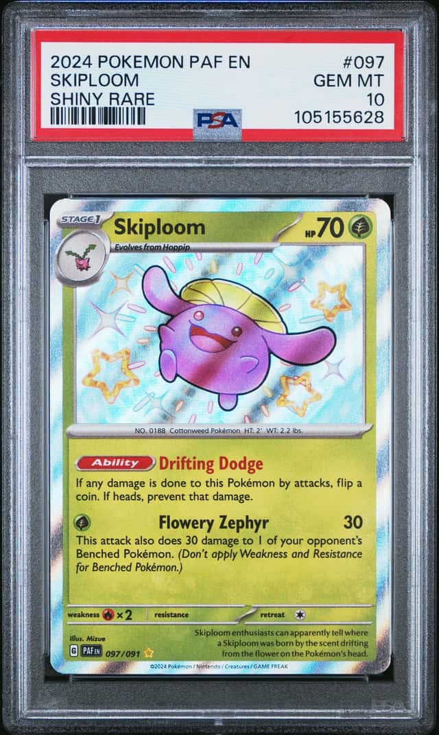 Skiploom