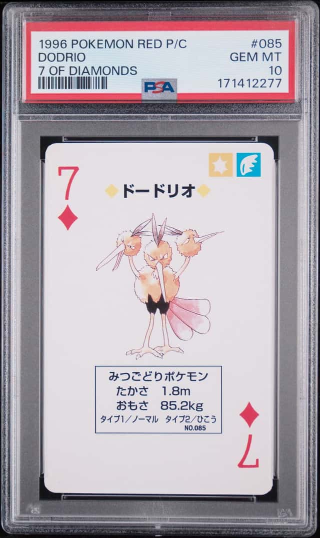 Dodrio