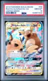 Raichu & Alolan Raichu Gx