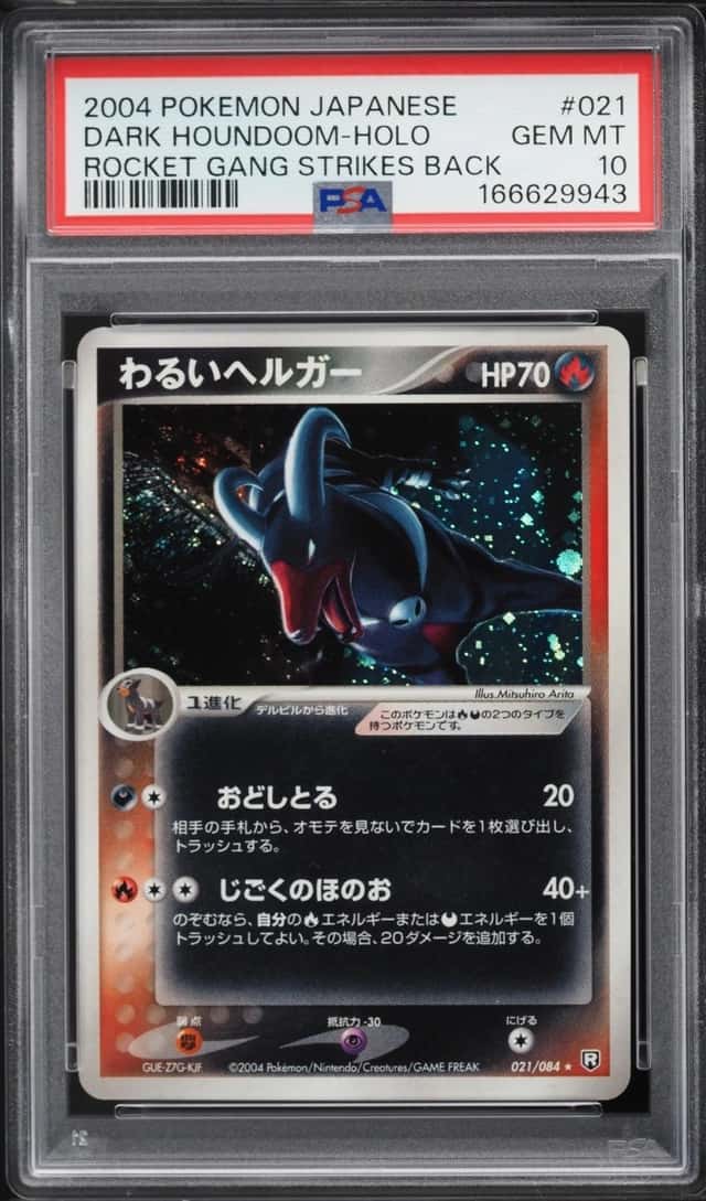 DARK HOUNDoom
