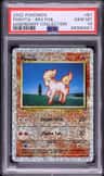Ponyta