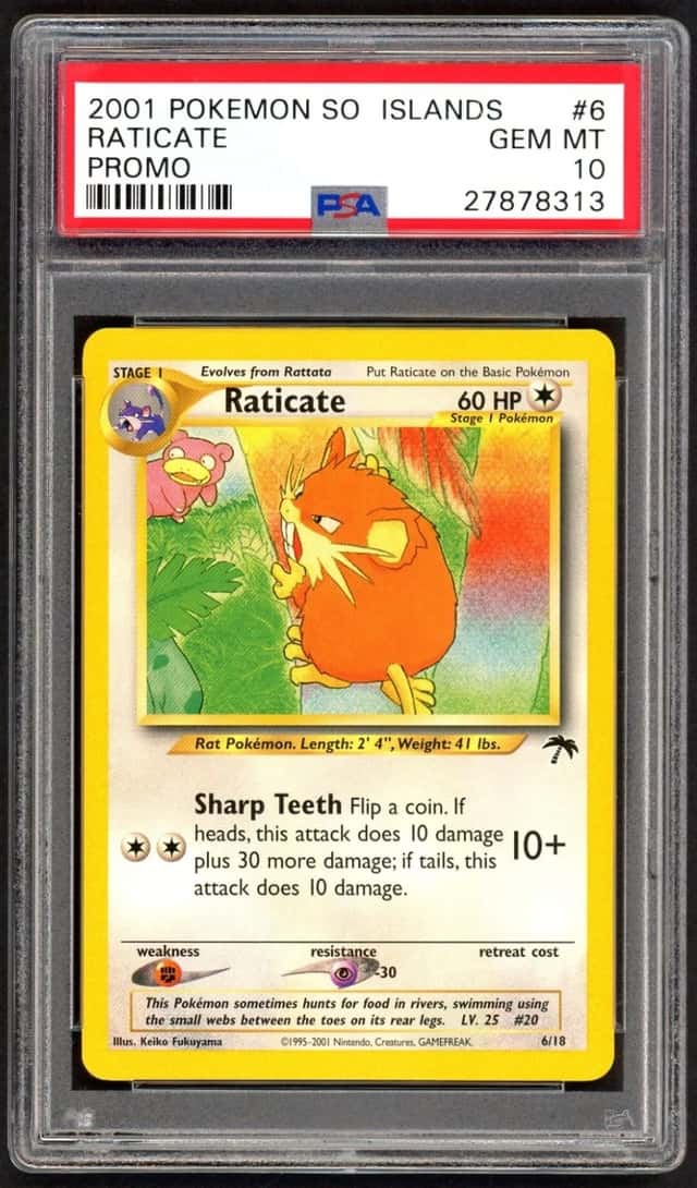 Raticate