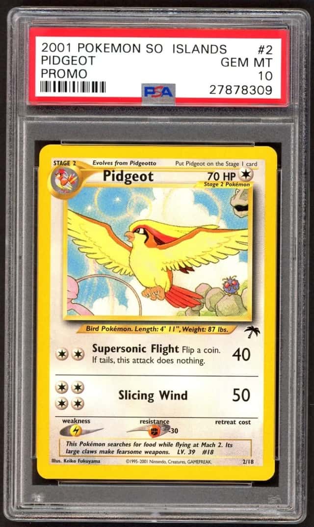 Pidgeot