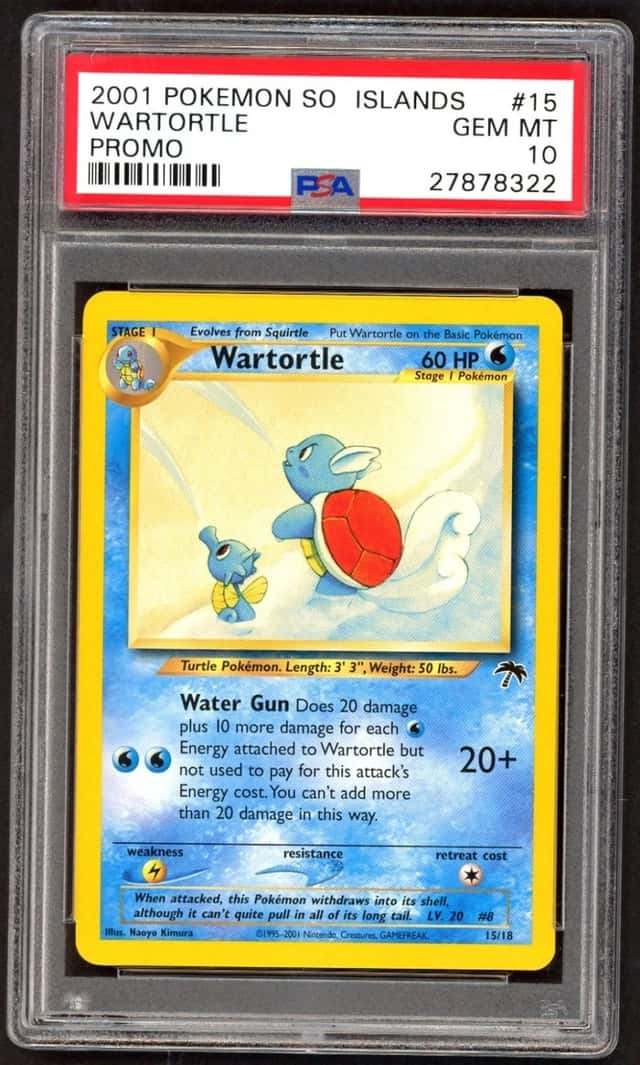 Wartortle