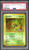 Caterpie