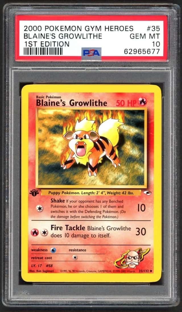 Blaine's Growlithe