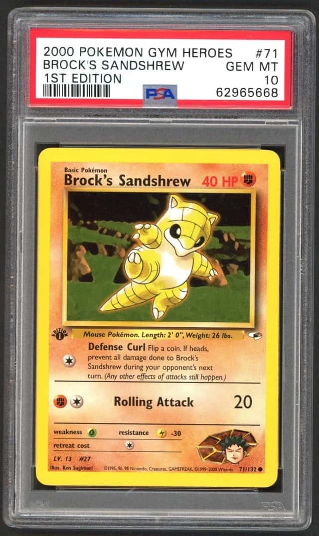 Brock's Sandshrew