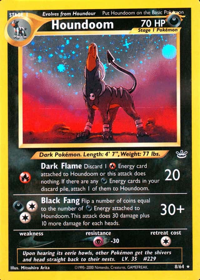 Holo
