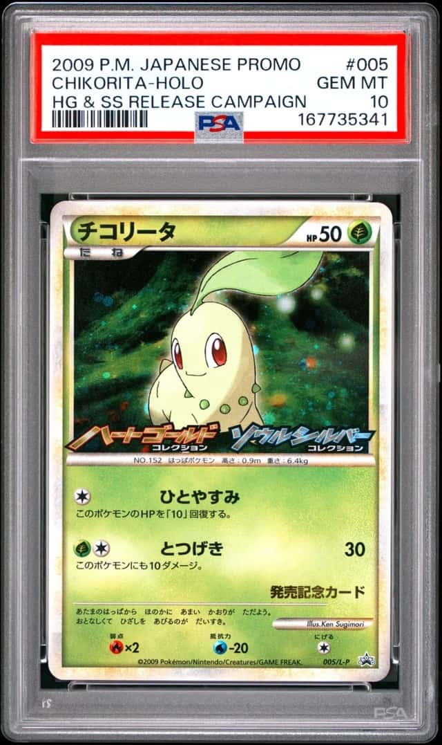 Chikorita