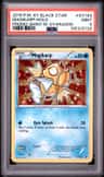 Magikarp